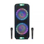 בידורית 12 אינץ כפולה PURE ACOUSTICS ZX-500212